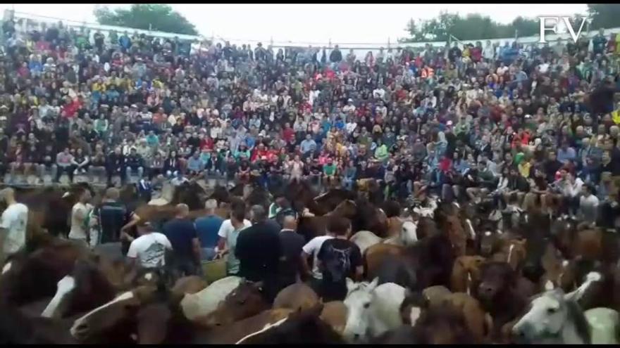 Lleno en el segundo curro de la Rapa das Bestas