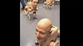 Perros robot con las caras de Elon Musk y Jeff Bezos: impactantes | Vídeo