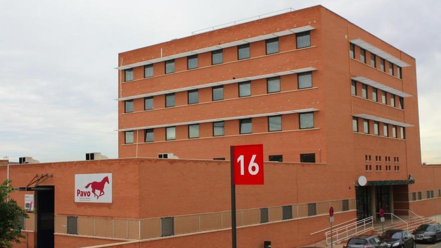 Veterinaria en la Universidad de Murcia, en el puesto 34 del mundo