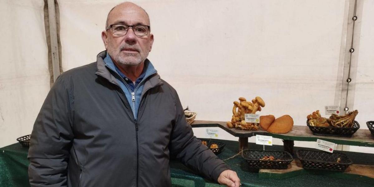 La Felguera presume de setas