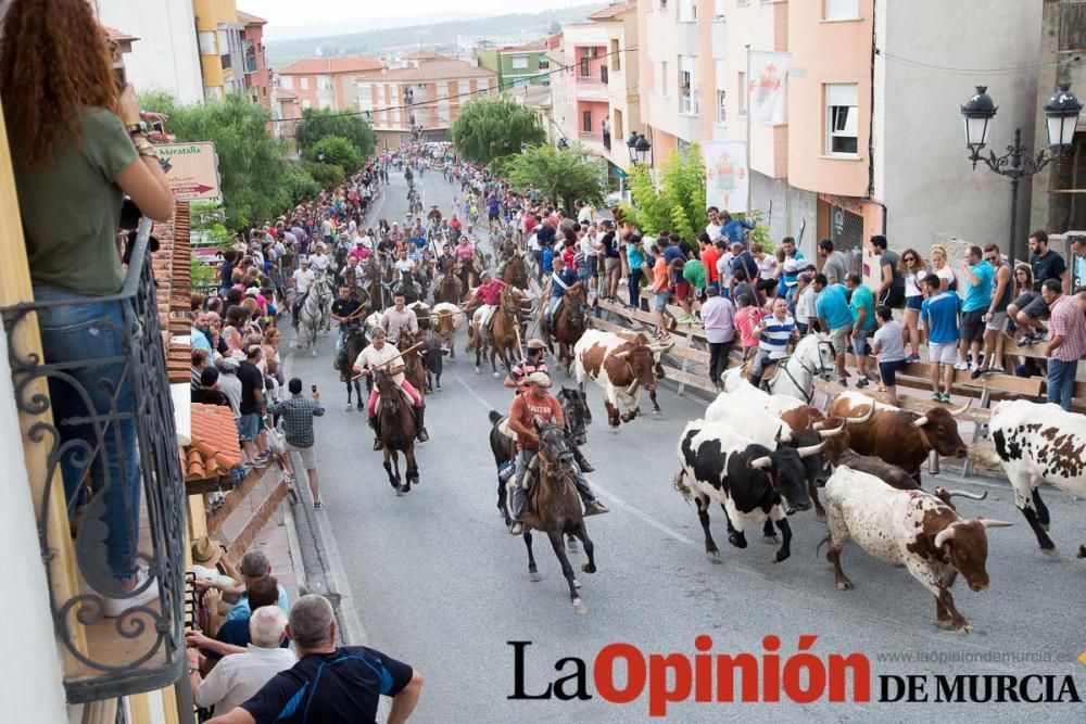 Último encierro en las Fiestas de Moratalla