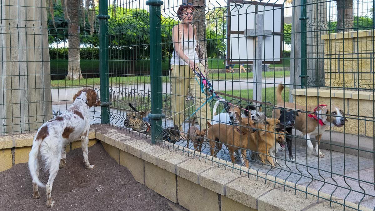 Los invitados a la fiesta del cumpleaños perruno al llegar al Parque Romano.