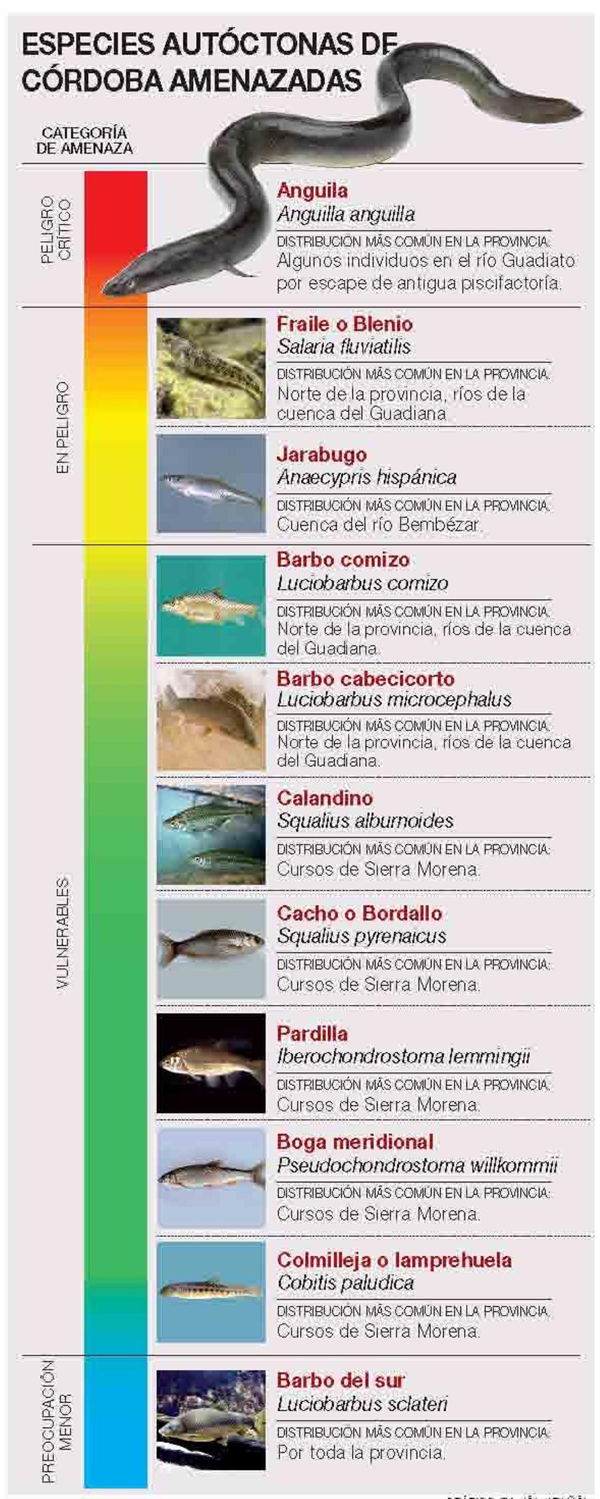 La dura vida en los ríos de Córdoba