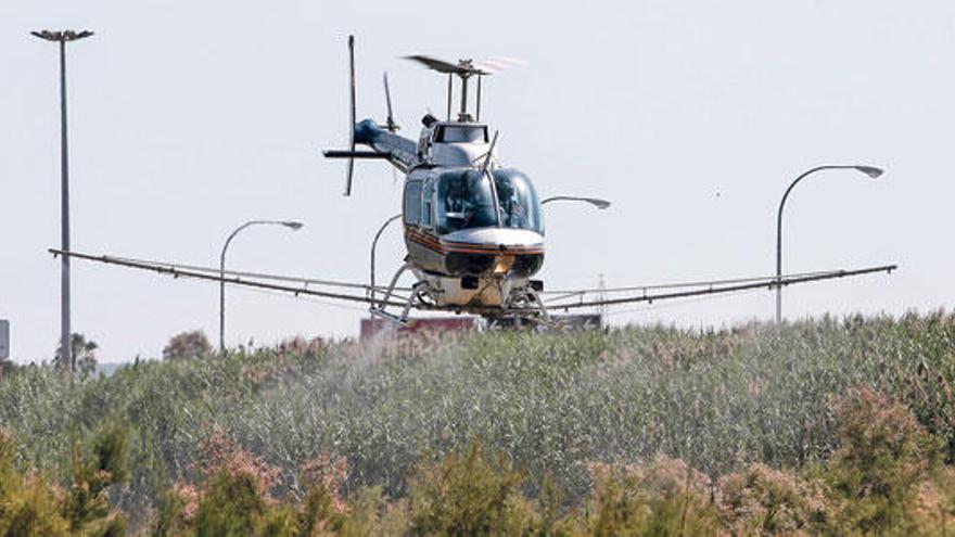 El helicóptero de la empresa de fumigación Lokímica sobrevoló ayer por la mañana el humedal de ses Fontanelles.