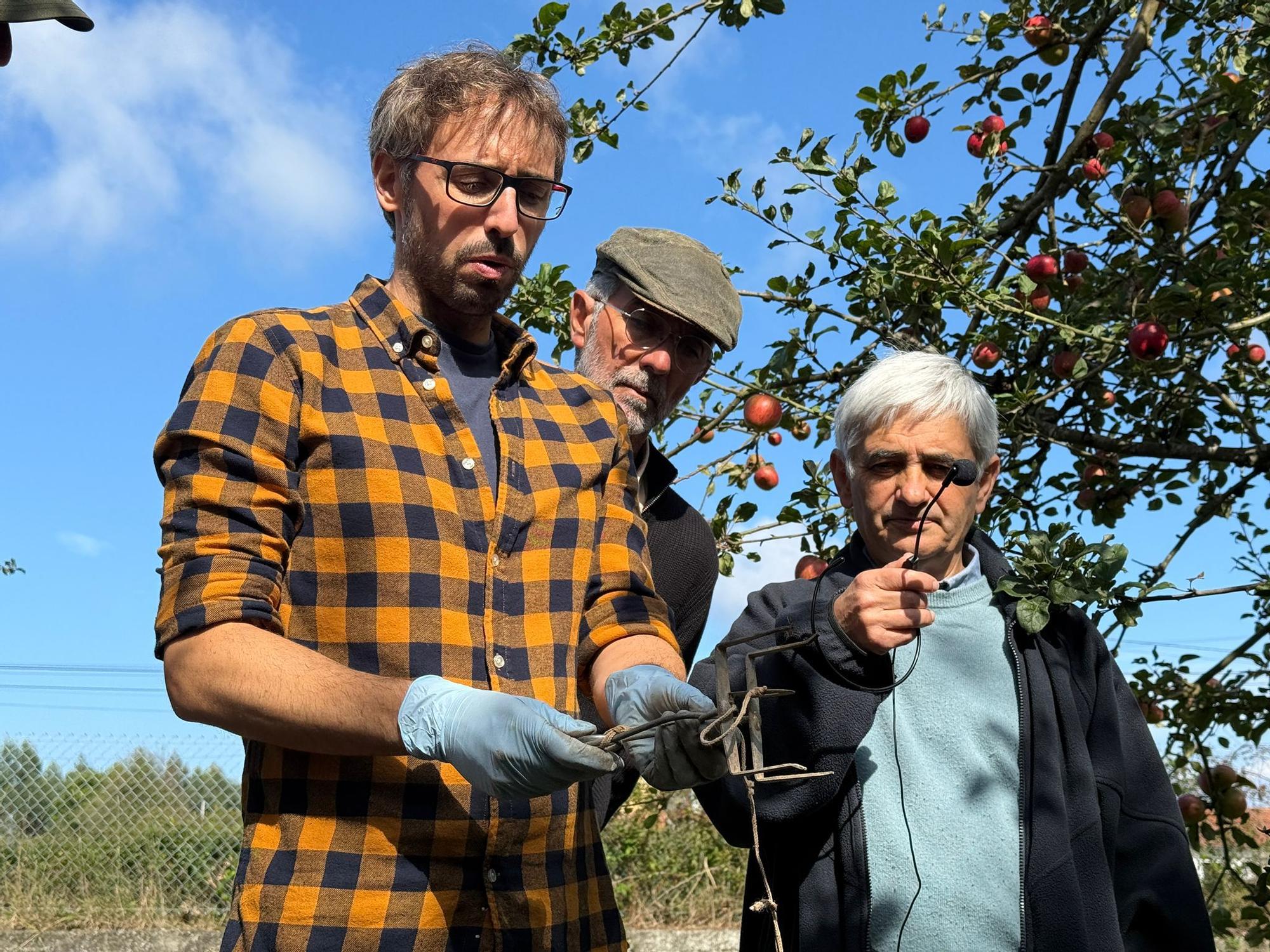 El SERIDA explica sobre el terreno las medidas de protección contra las plagas de roedores en pomaradas