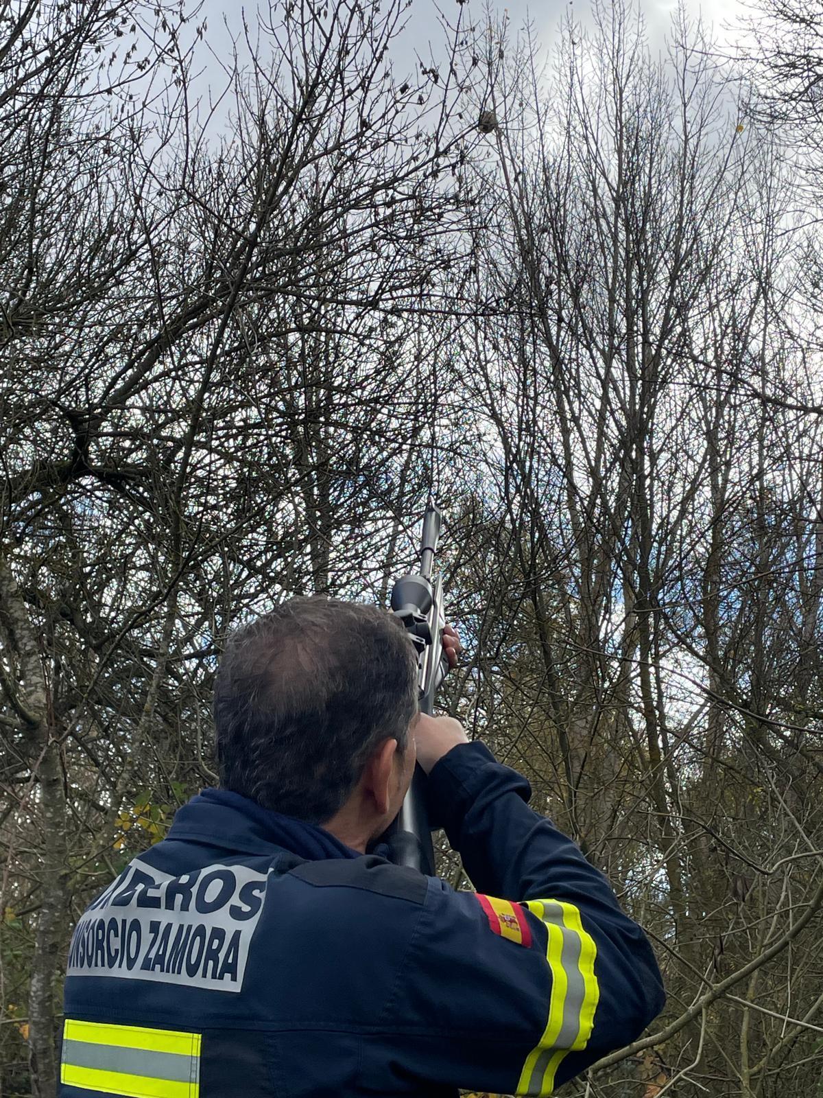 Un primer plano de un bombero disparando al nido de avispas.