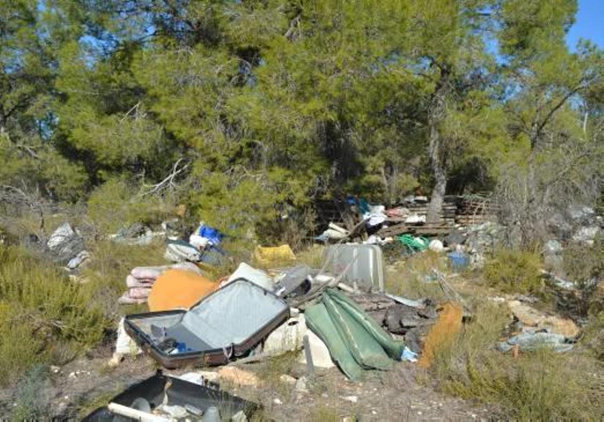Los ecologistas alertan sobre un gran vertedero en pleno bosque de la Vallesa