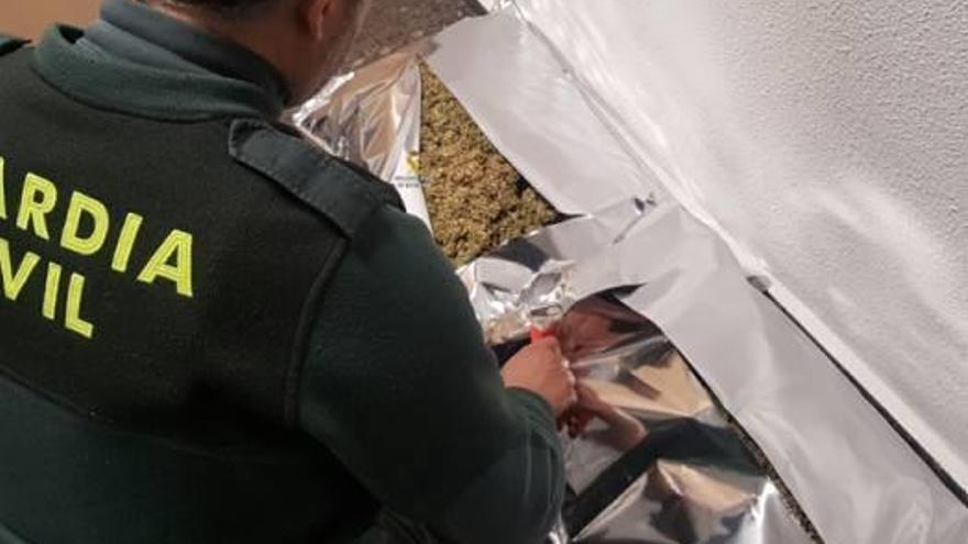 Tres detenidos en Sagunt por llevar 5 kilos de marihuana en el coche