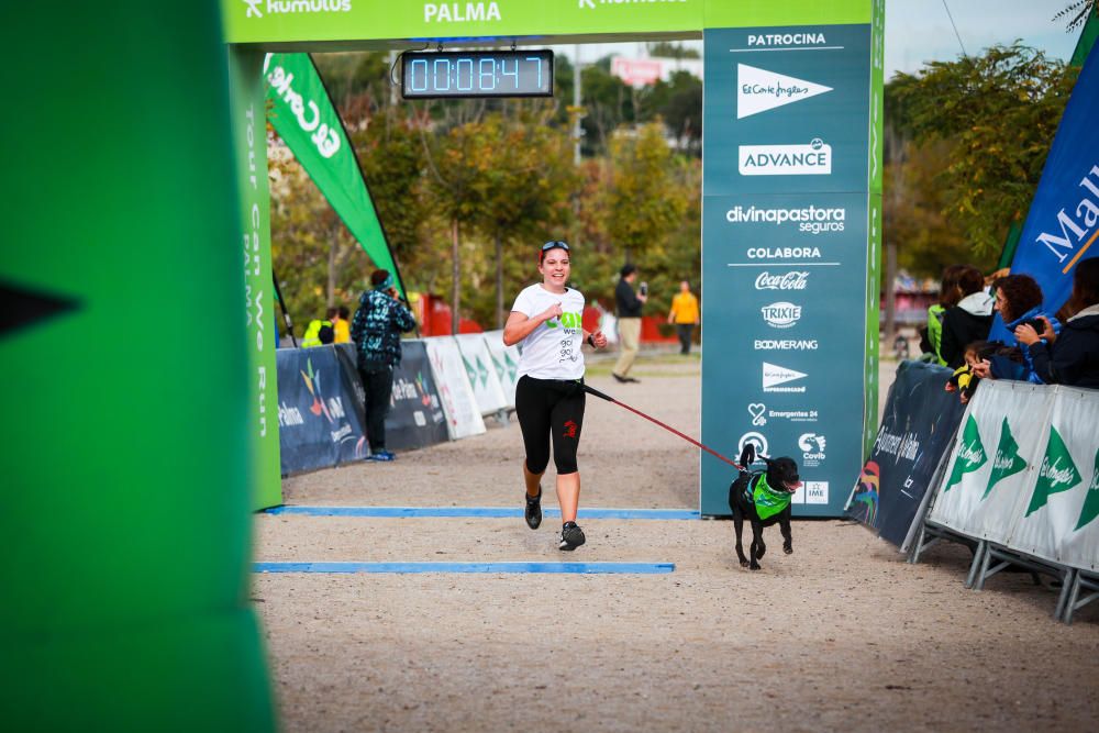 Can We Run Mallorca: So war das Hunderennen