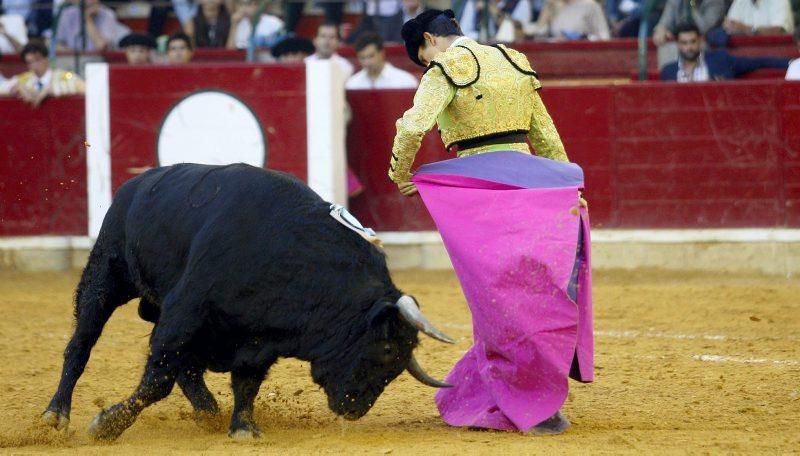 Novillada en la plaza de Toros