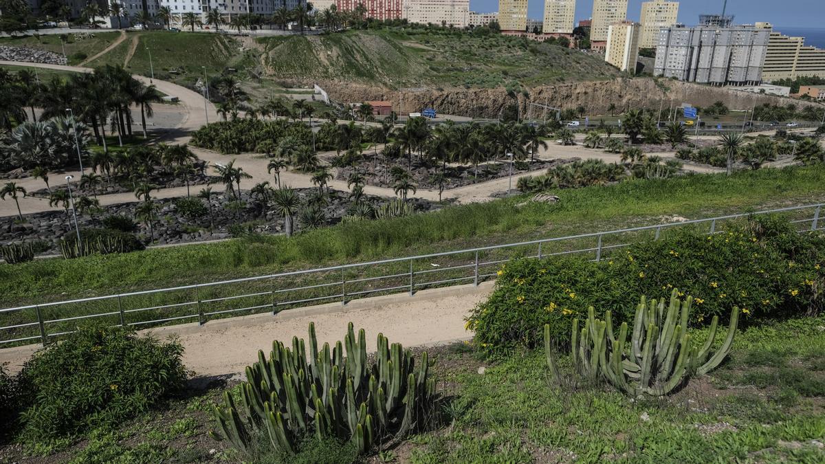 Laderas donde podrían crecer más ejemplares de cardonal-tabaibal.