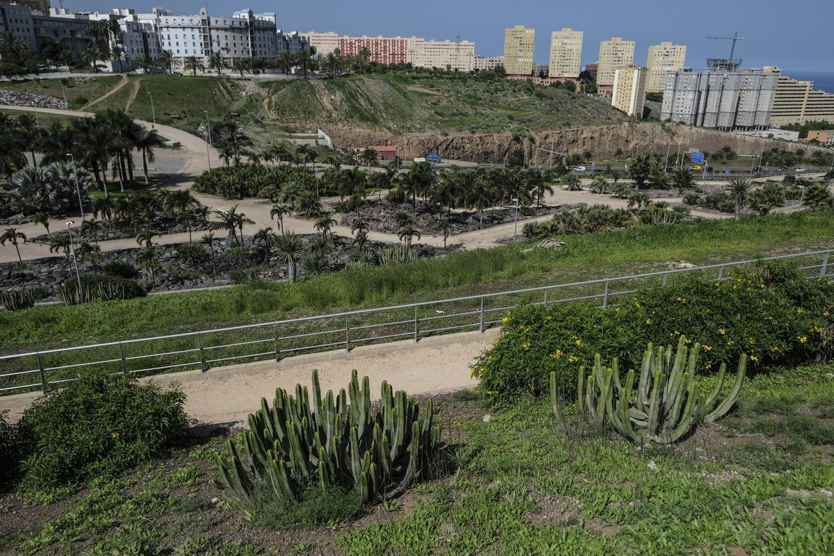 Laderas donde podrían crecer más ejemplares de cardonal-tabaibal.