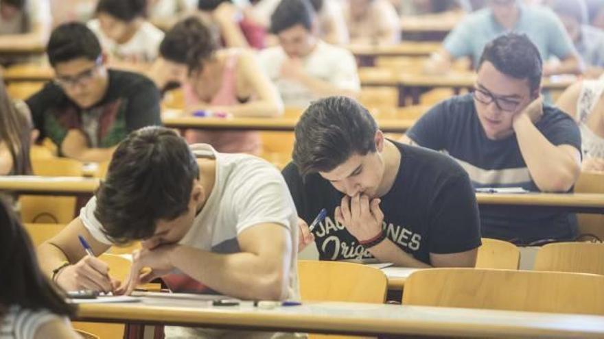 Estudiantes de Bachillerato durante las pruebas de Selectividad celebradas el curso pasado en la Universidad de Alicante.