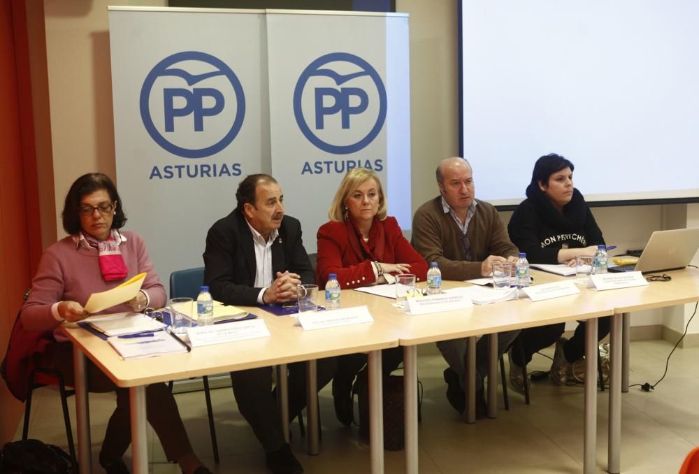 Reunión de diputados y alcaldes del PP en Lugo de Llanera