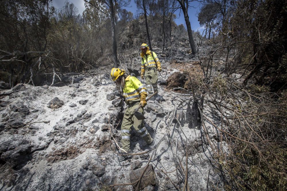 Incendio forestal en Carcaixent