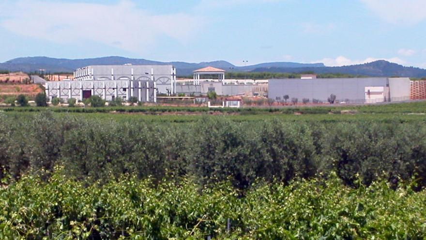 Instalaciones de elaboración de bodegas Vicente Gandia en Utiel.