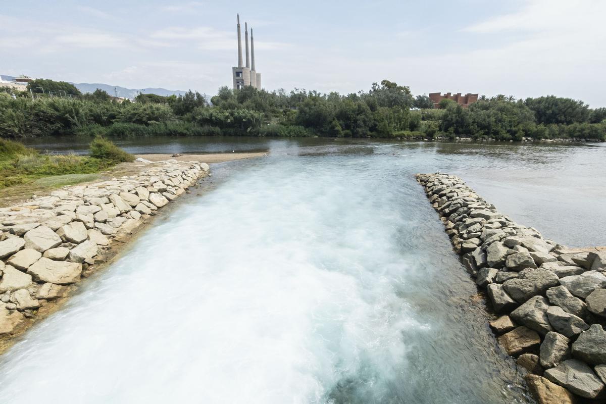 Aguas de refrigeración de las centrales de ciclo combinado de Endesa y Naturgy vertidas al río Besòs.