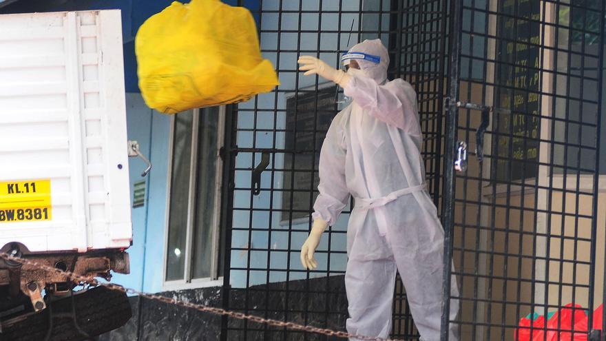 Virus Nipah: tot el que sabem de la nova epidèmia a l’Índia