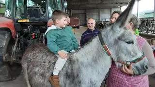 Os cativos da escola infantil O Bosque de Ames coñecen o oficio de granxeiro nunha explotación