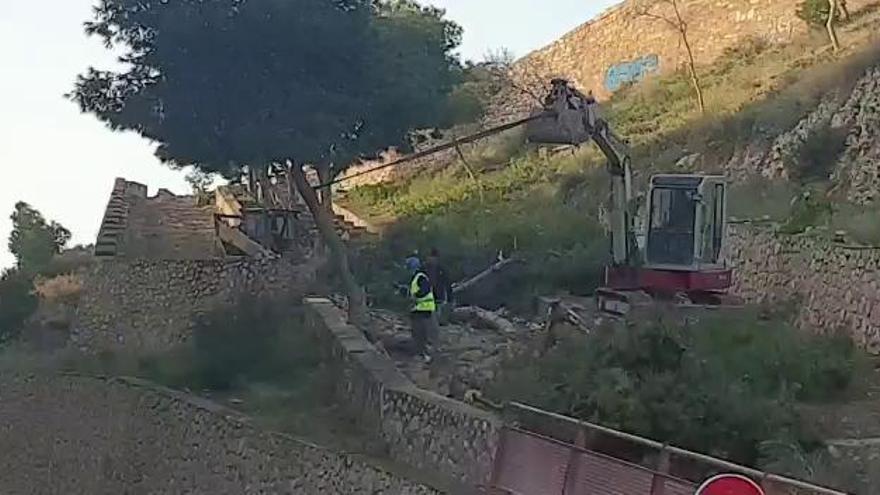 Tala de árboles en el Castillo de San Fernando de Alicante