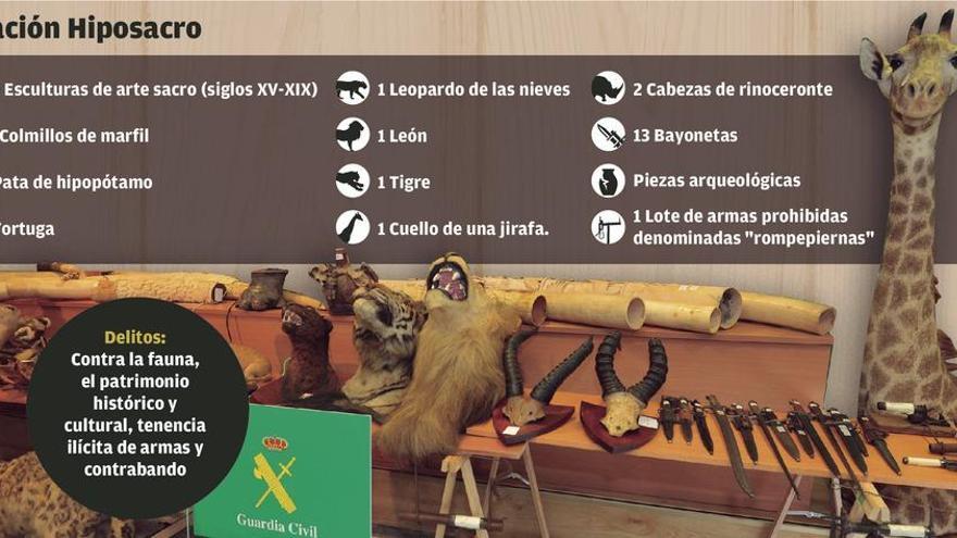 Incautadas 50 tallas de arte y 150 animales disecados en riesgo extinción en Pontevedra