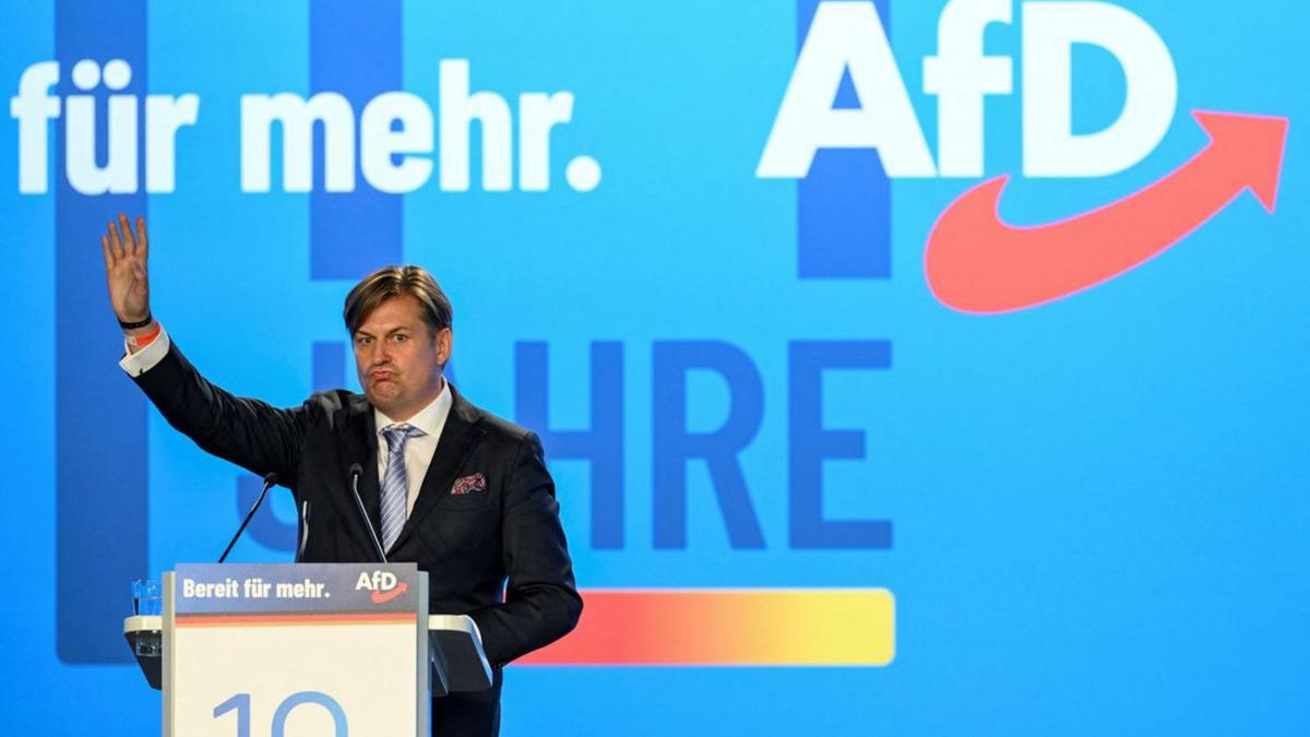 Maximilian Krah, europarlamentari alemany de la ultradretana AfD. | ANNEGRET HILSE / REUTERS