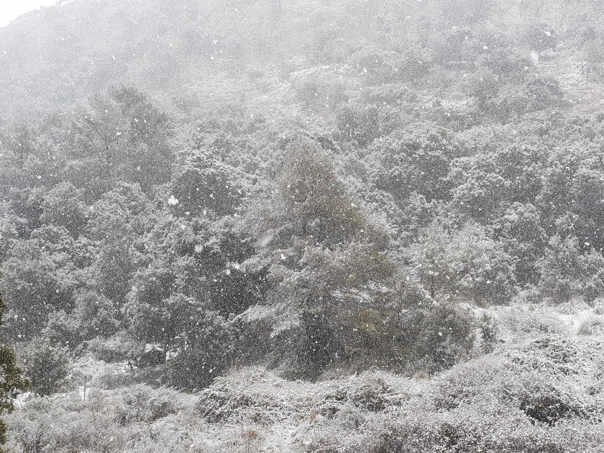 La nieve cae en la Serra