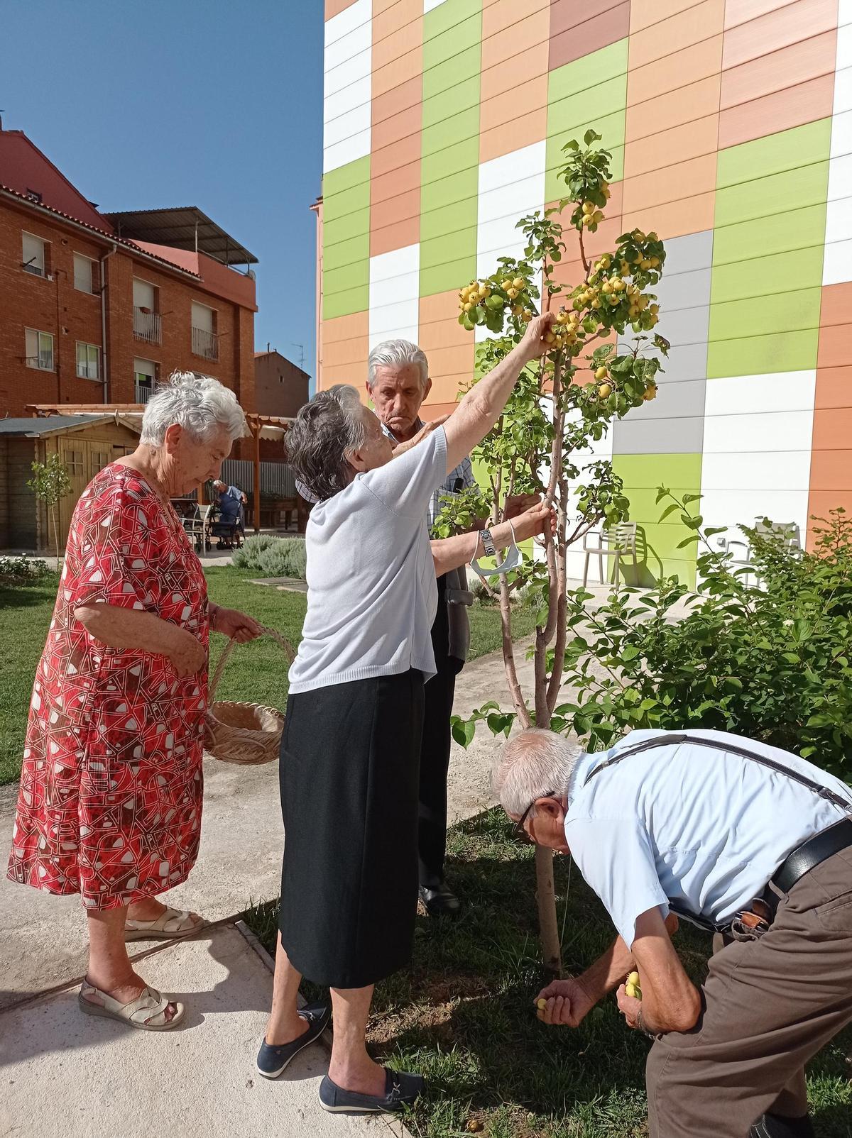 En las residencias de Fundación Rey Ardid, los mayores disfrutan de multitud de terapias y actividades de ocio.