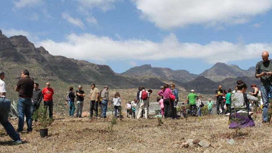 Participantes en la plantación de árboles en las inmediaciones de la zona de la Fortaleza.