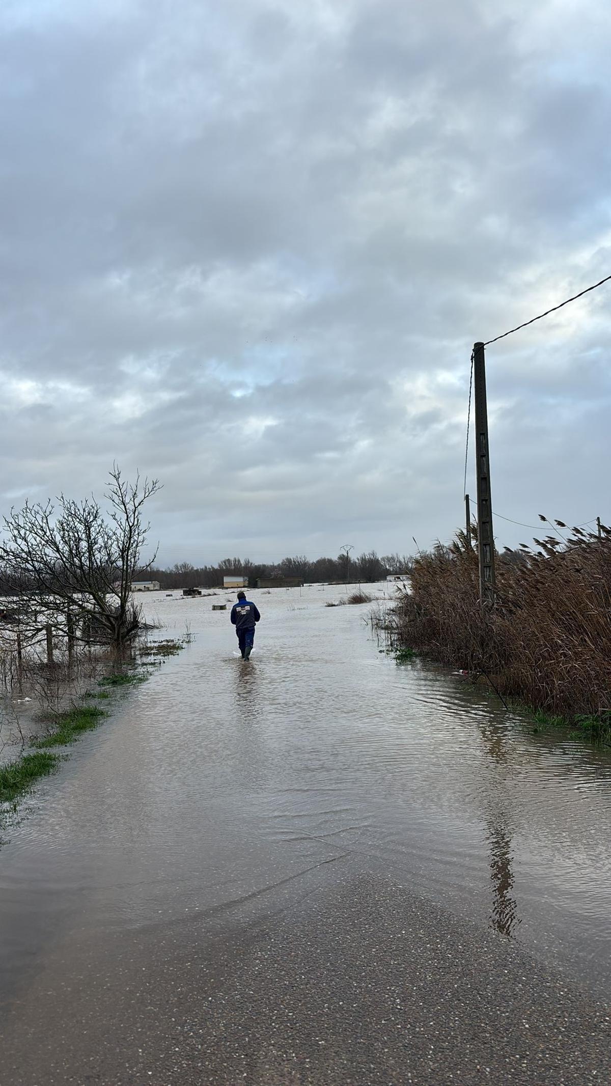 Camino de la Rinconada, anegado por las aguas