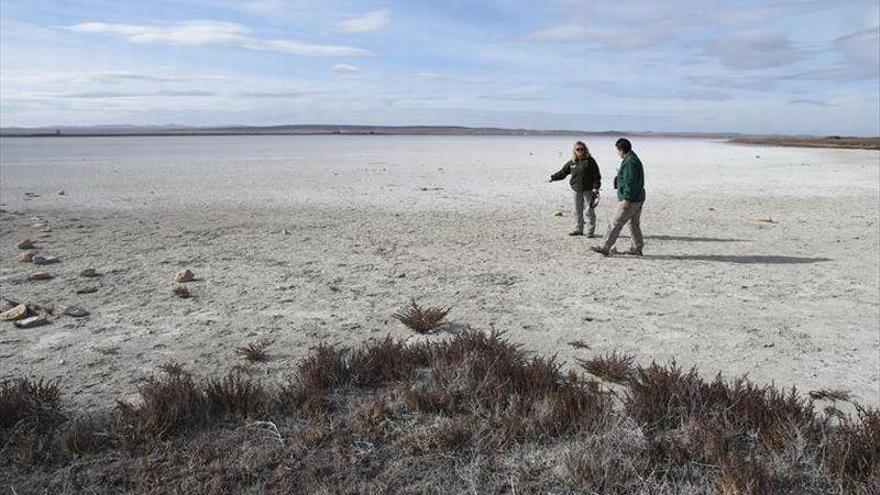 El sistema de seguros agrarios perdió 21 millones en 2018 y suma 2 años en rojo