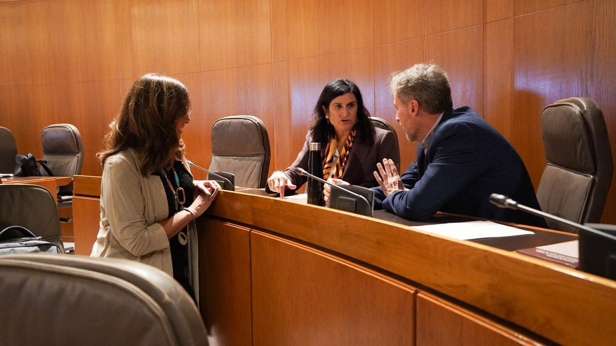 La diputada de CHA, Isabel Lasobras, ha sido la encargada de defender la iniciativa