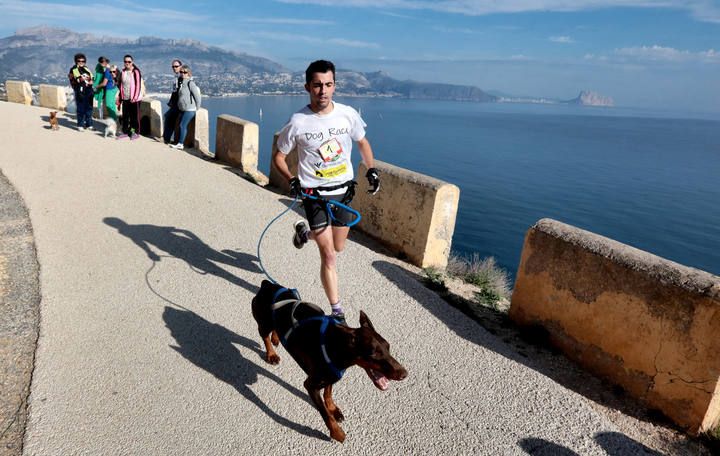 «Running» solidario con perros por l'Alfàs del Pi