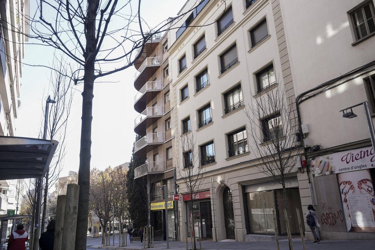 Els arbres del tram entre la plaça de Neus Català i el carrer del Bruc ja estan plantats, com mostra la foto, d’ahir