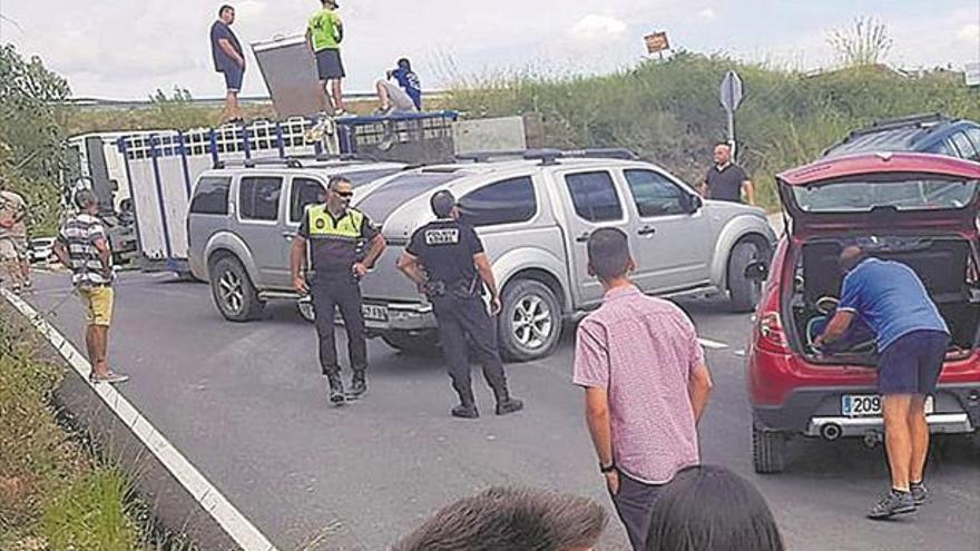 Susto en Viver al escaparse cuatro vacas antes de soltarlas en fiestas