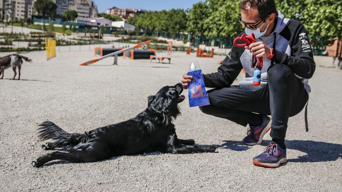 Te pueden multar si no limpias el pis de tu perro en la calle?