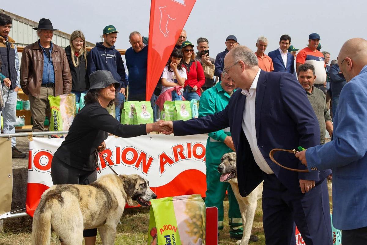 GALERÍA | Miranda do Douro exhibe carne de alta calidad