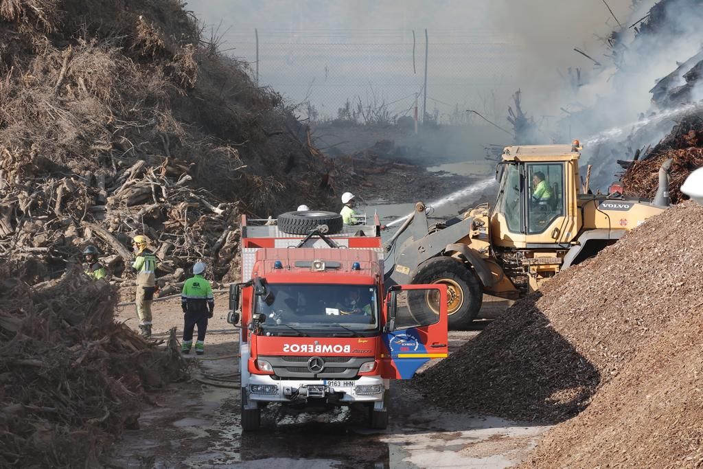 Fotogalería | Incendio en la planta de biomasa de Mérida