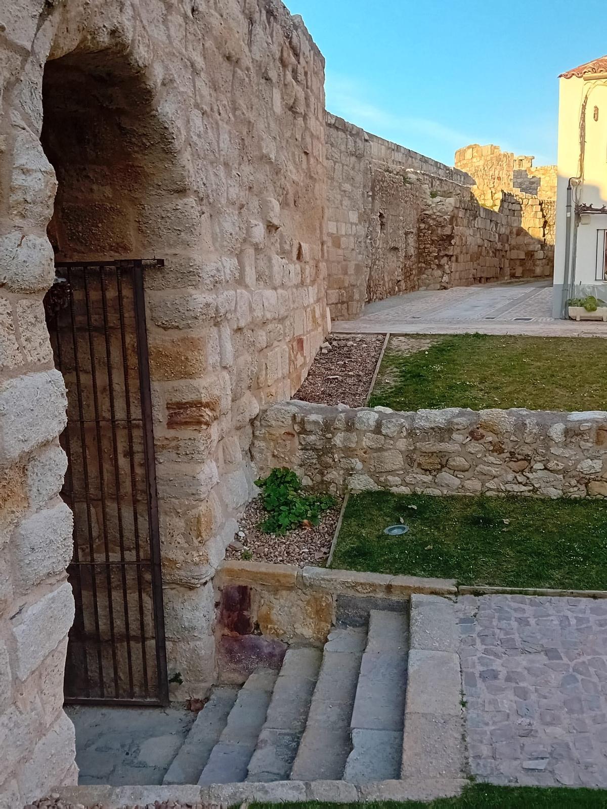 Nueva zona en la muralla zamorana despejada, ¿sabes de cuál se trata?