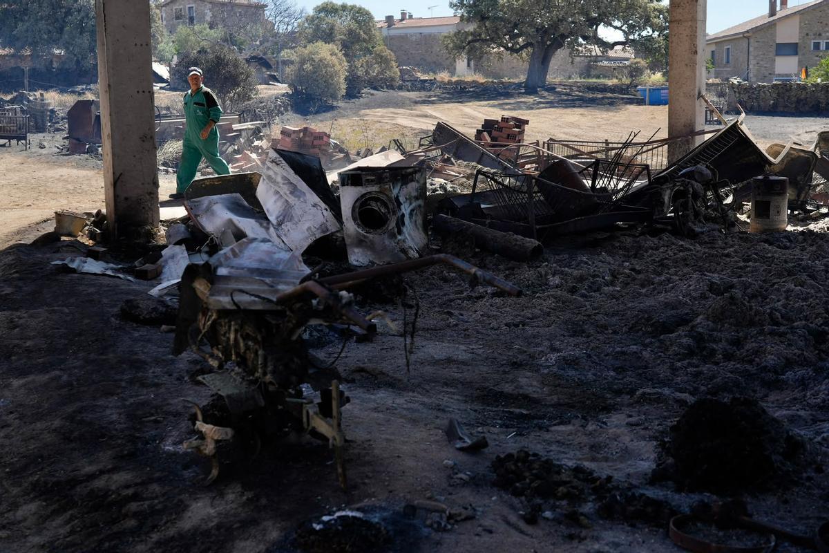 GALERÍA | El paso del fuego por Mámoles arrasa la explotación de Alfredo Fernándes