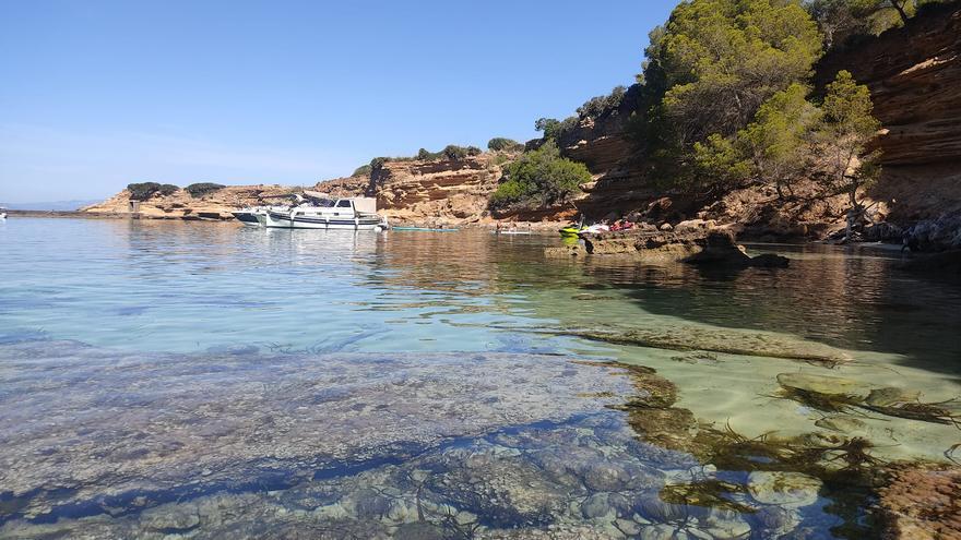 Bañistas de la zona de Cap de Farrutx denuncian que los barcos llegan hasta la orilla