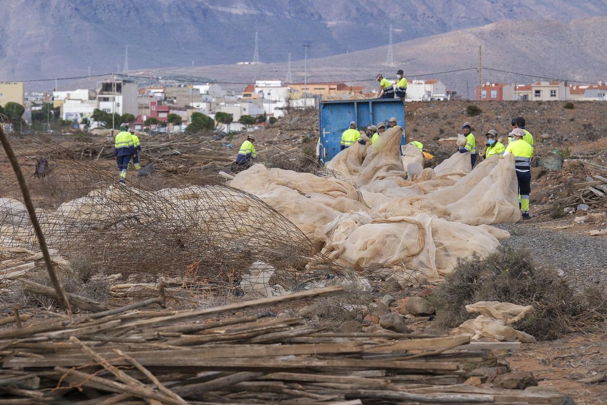 Trabajos de recogida de restos de antiguos invernaderos abandonados junto a la playa Bahía de Formas, en Gran Canaria.