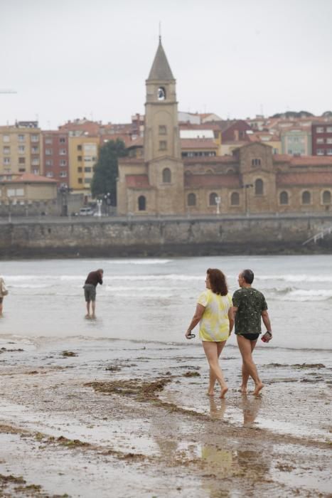 Recogida de ocle en la playa de San Lorenzo de Gijón