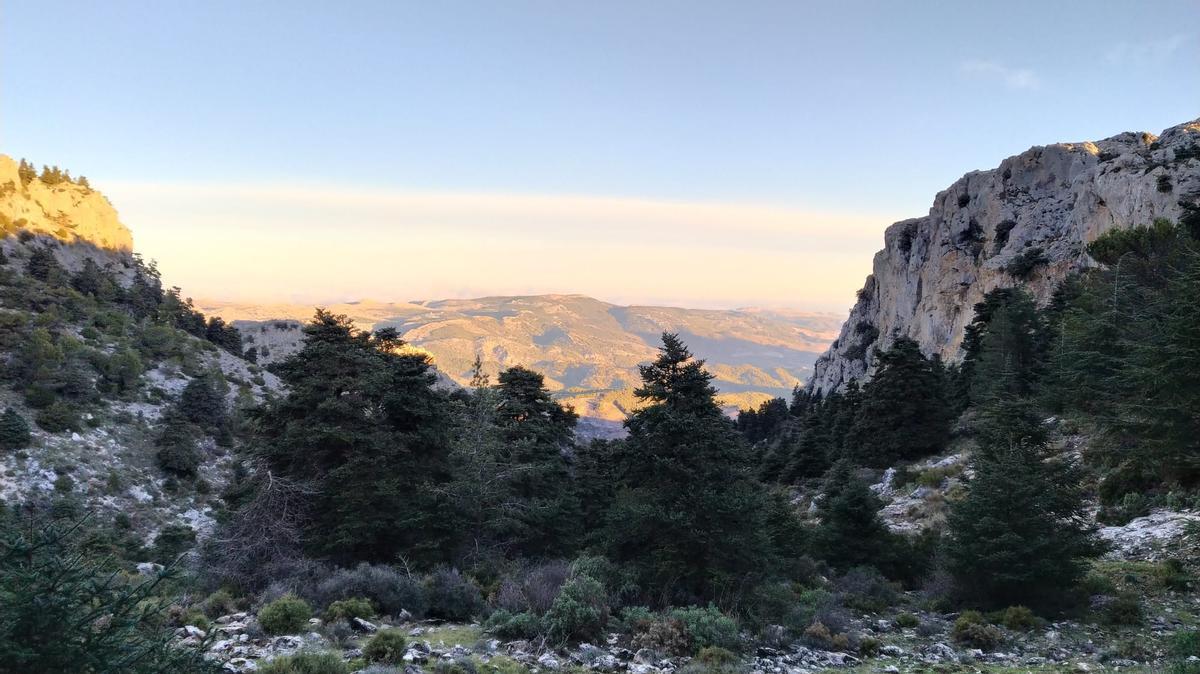 La Mancomunidad de la Sierra de las Nieves solicita la ampliación de los plazos de ejecución y justificación de distintos proyectos financiados con fondos europeos Next Generation.