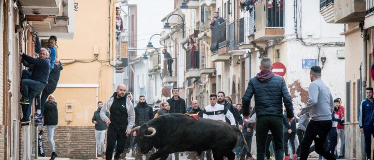 Sant Antoni llena las calles de la C. Valenciana