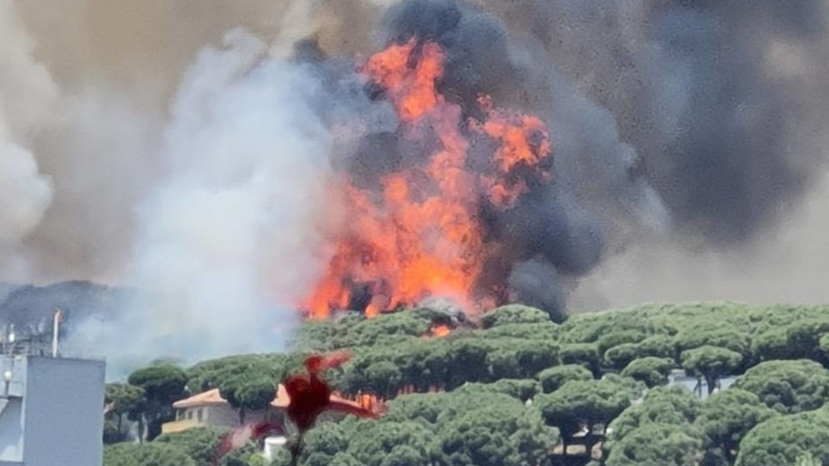 Incendio forestal en Argentona