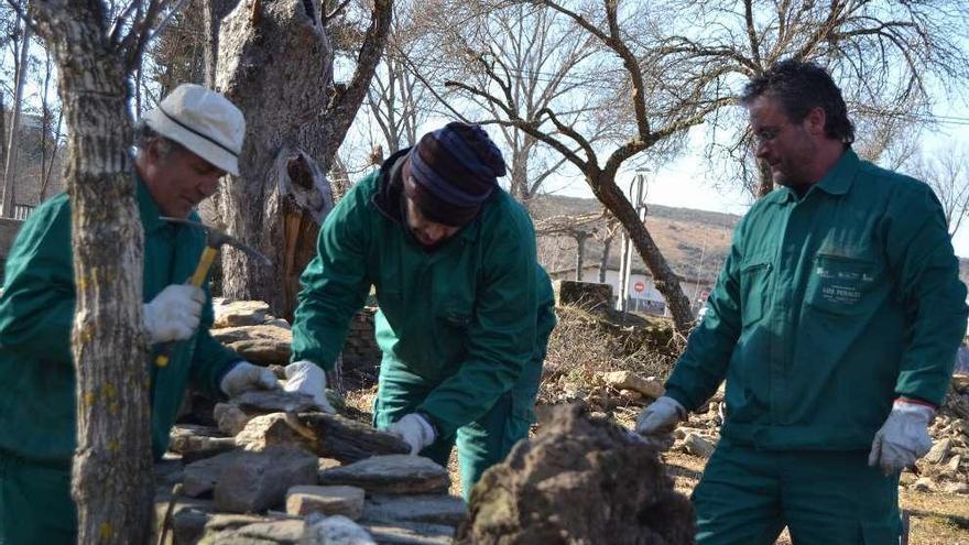 Un grupo de alumnos trabaja en la construcción de un muro.