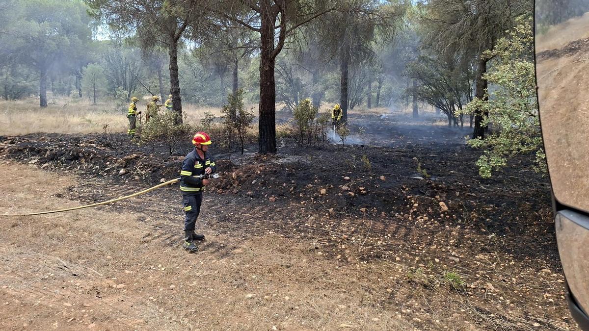Bomberos trabajan en las labores de extinción del incendio en Villalpando.