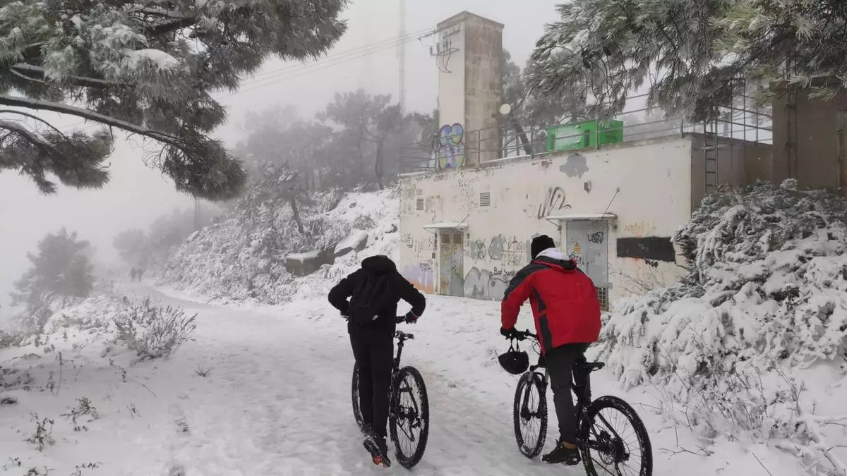 El Desert de les Palmes bajo la nieve: el día que la Borrasca Filomena congeló Castellón
