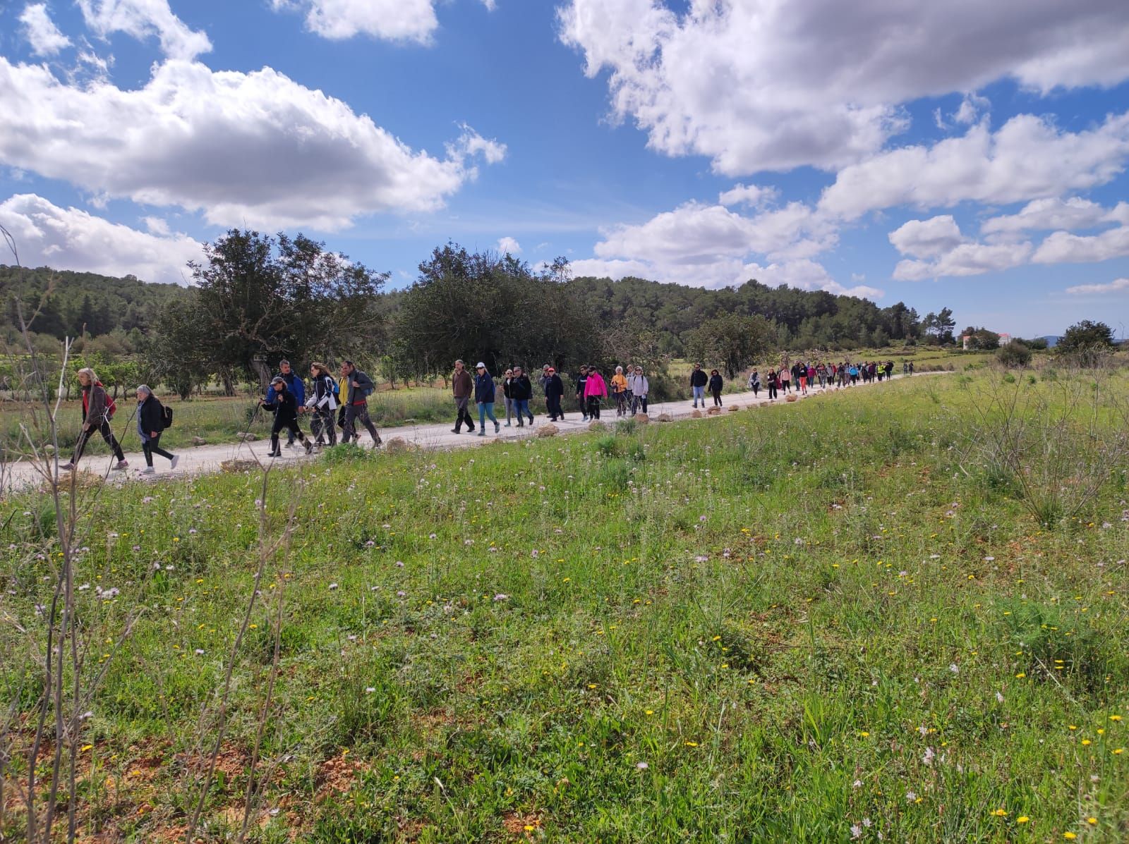 Reivindicación de los caminos públicos de Ibiza